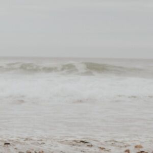 Meet your Posher, Tori